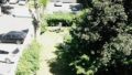 Blick in den Garten