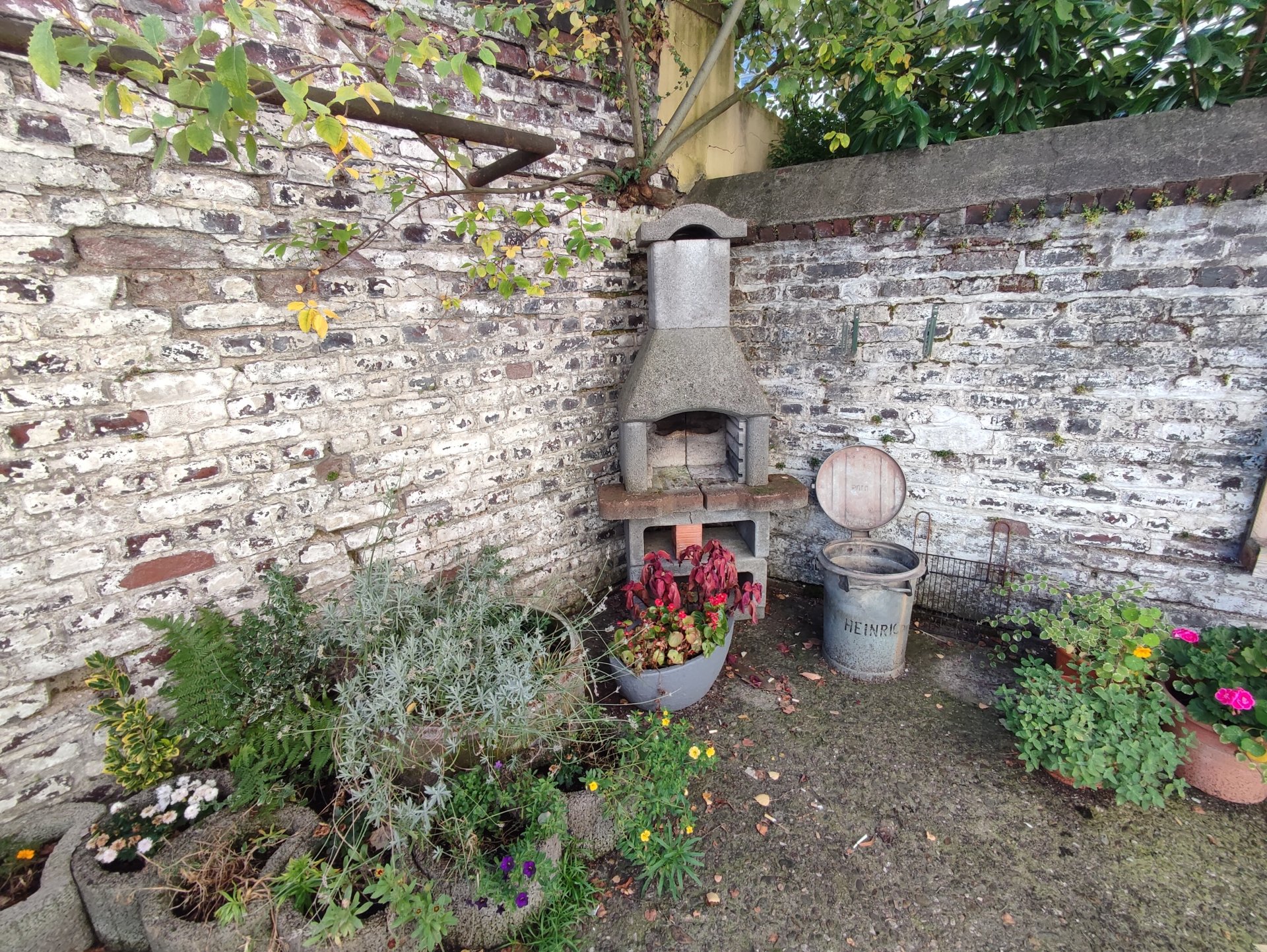 Gemeinschaftsgarten