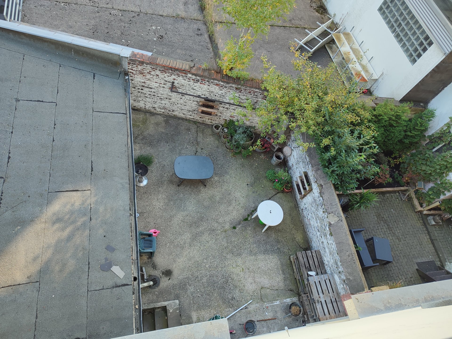 Ausblick